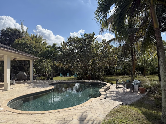 view of swimming pool with a patio area