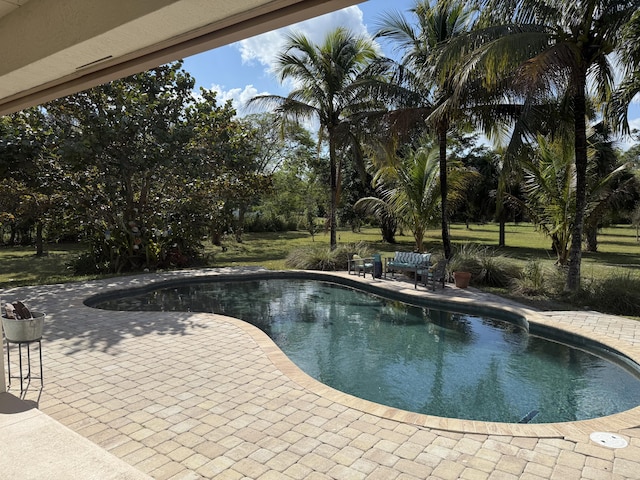 view of pool featuring a patio area