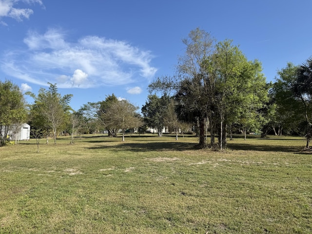 view of yard