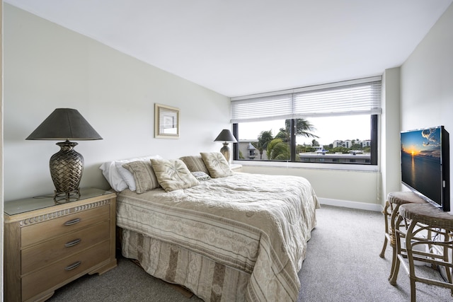 bedroom with carpet floors