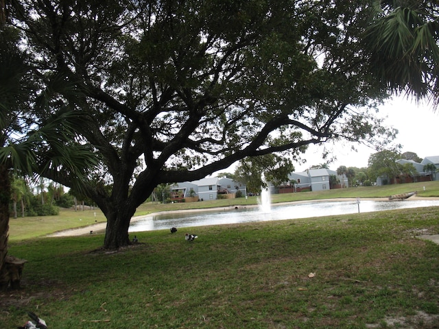 view of yard with a water view