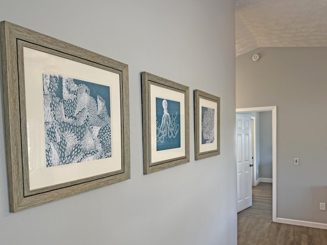 hallway featuring vaulted ceiling, hardwood / wood-style floors, and a textured ceiling