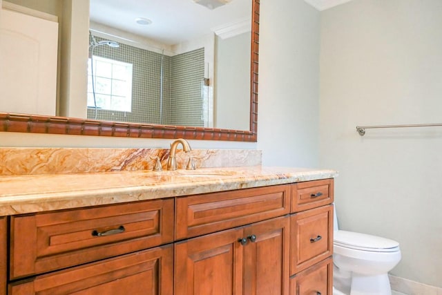 bathroom with vanity, toilet, and a shower