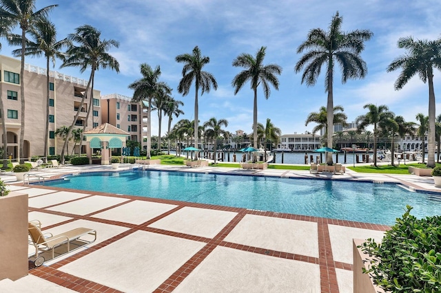 view of swimming pool with a patio