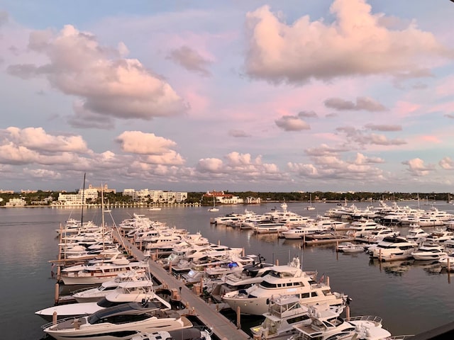 view of water feature with a dock