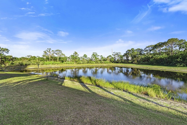 6301 SE Turn Leaf Trl, Hobe Sound, FL 33455 - view of water feature