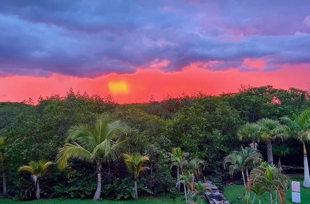 view of nature at dusk