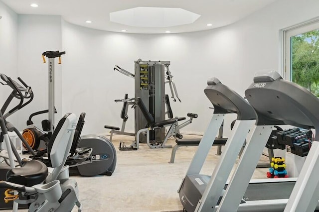 workout room with a skylight