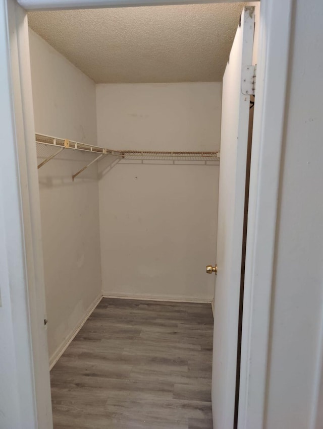 walk in closet featuring hardwood / wood-style floors