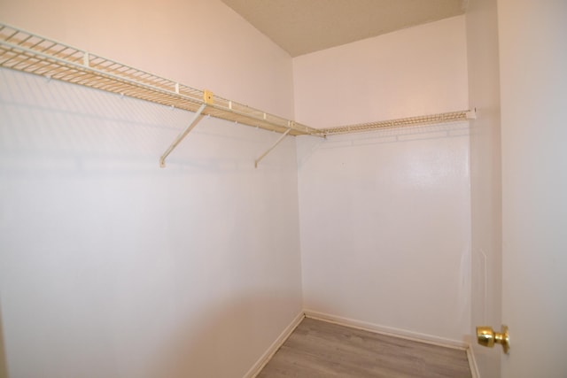 walk in closet featuring hardwood / wood-style floors