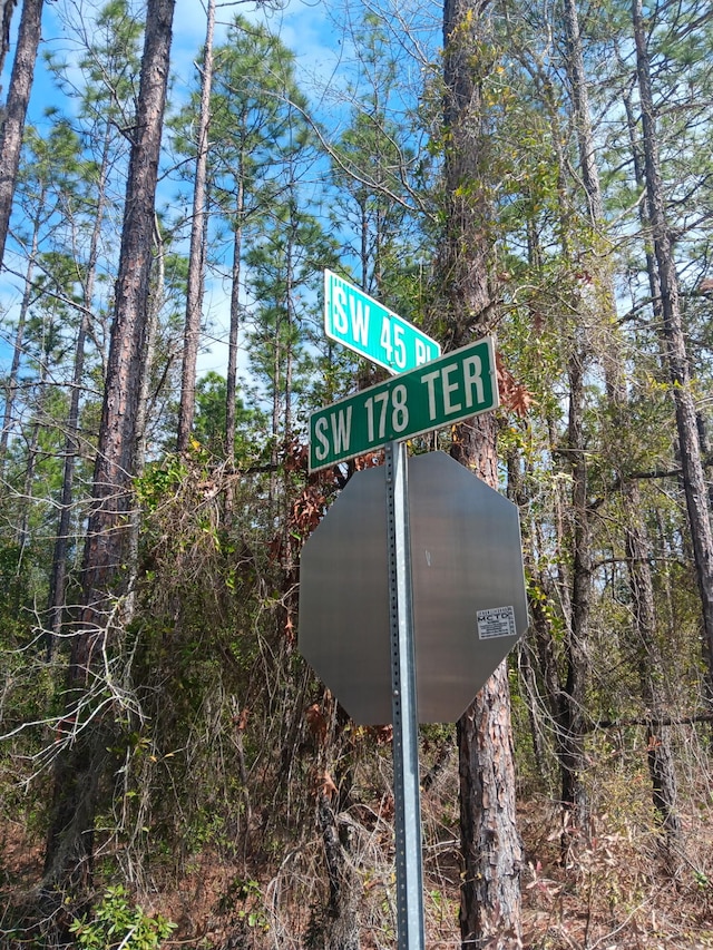 SW 178th Ter, Dunnellon FL, 34432 land for sale