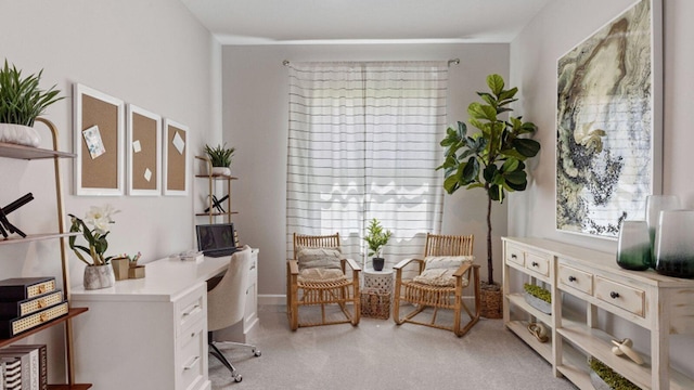 view of carpeted home office