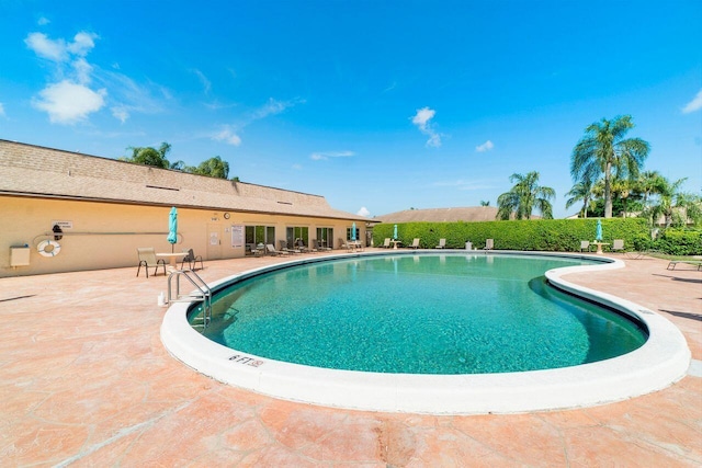 view of swimming pool with a patio area