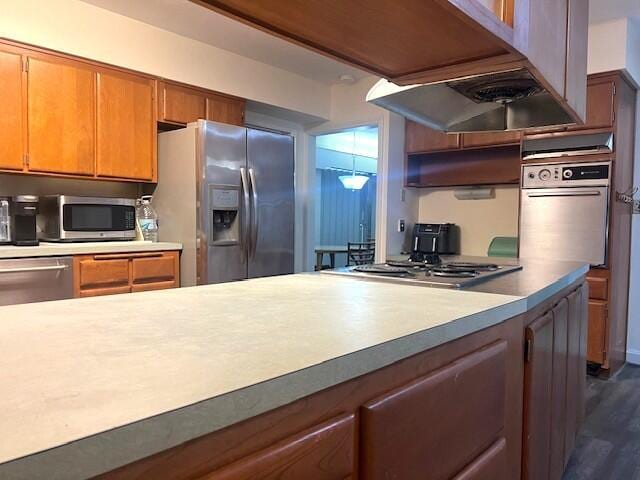 kitchen with dark wood-type flooring, stainless steel appliances, and custom range hood