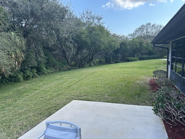 view of yard with a patio area