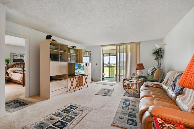 living room with carpet and a textured ceiling