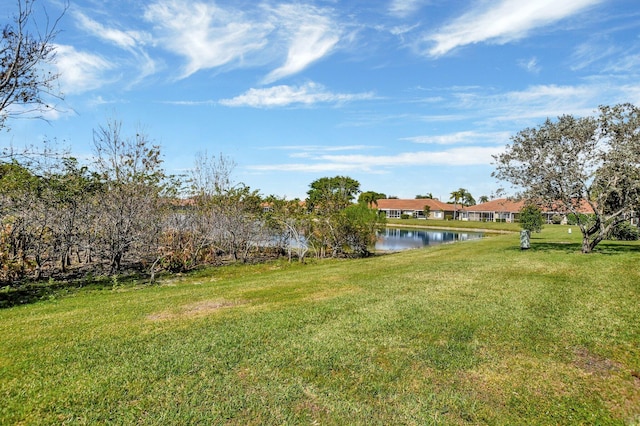 view of yard featuring a water view