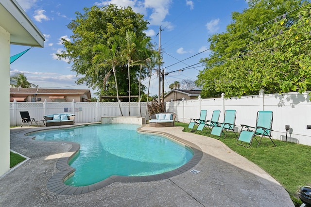 view of pool with a patio and outdoor lounge area