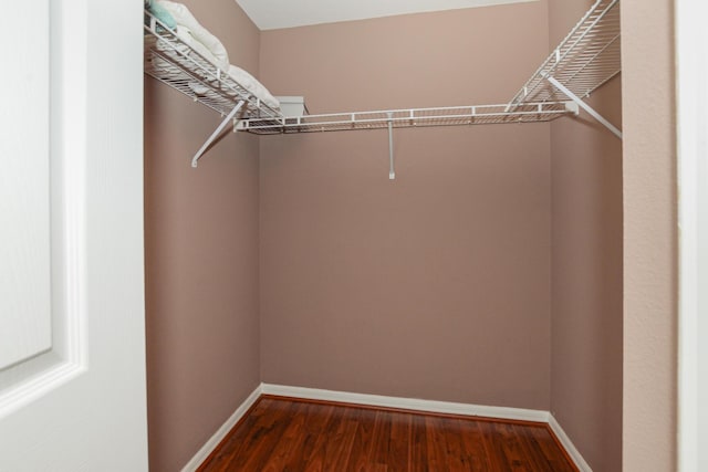 spacious closet featuring dark wood-type flooring