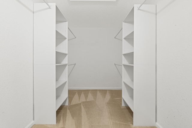 spacious closet with carpet