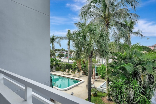 view of swimming pool featuring a patio