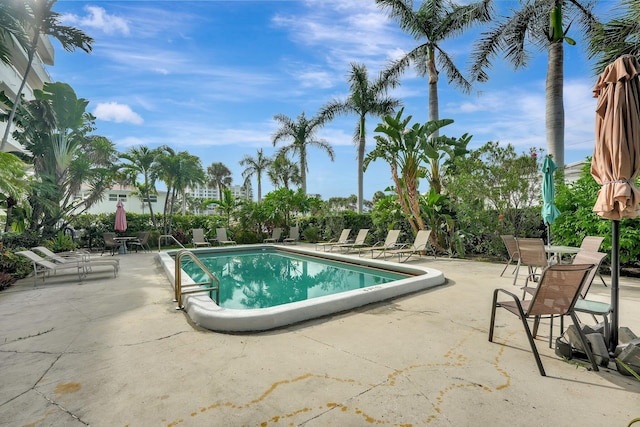 view of swimming pool with a patio area