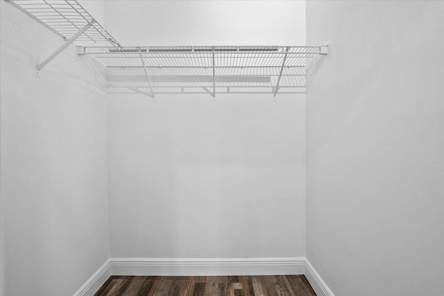 walk in closet featuring dark hardwood / wood-style flooring