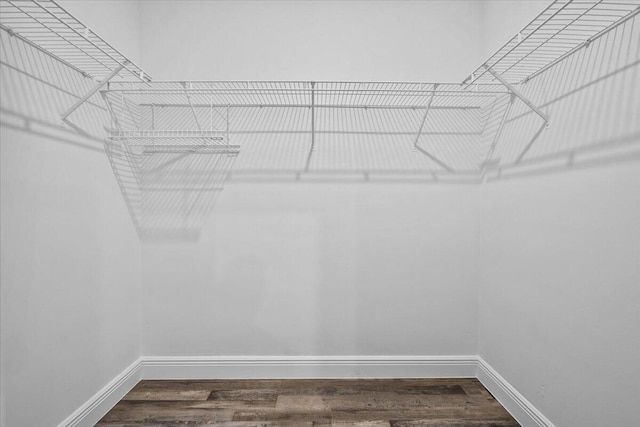 walk in closet with hardwood / wood-style flooring