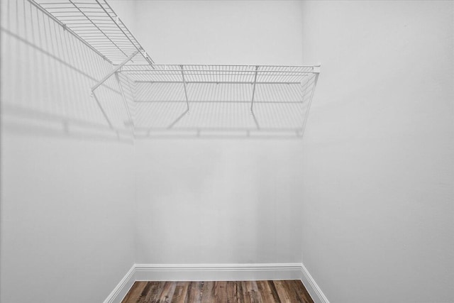 walk in closet featuring wood-type flooring