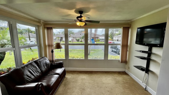1292 High Point Pl S Unit B, Delray Beach, FL 33445 - sunroom with carpet flooring and ornamental molding
