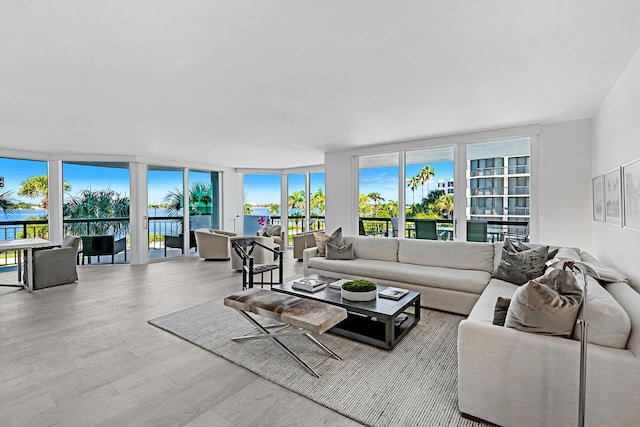 living room with floor to ceiling windows and light hardwood / wood-style flooring