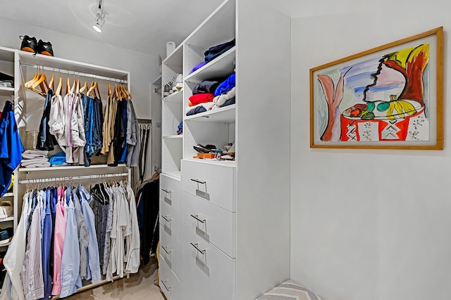 view of spacious closet