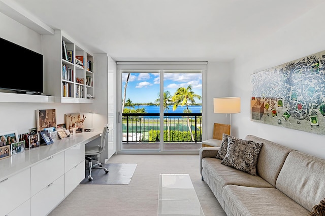 carpeted office with a water view and built in desk