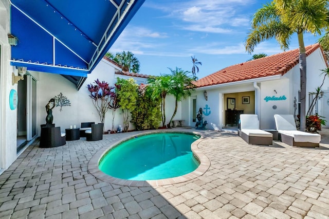 view of pool featuring a patio