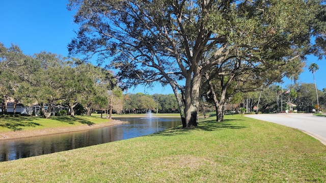 water view