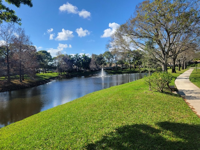 water view