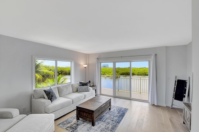 living room featuring a water view and light wood-type flooring