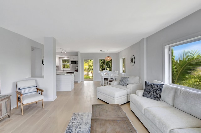 living room featuring light wood-type flooring