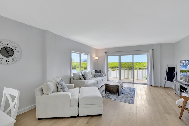 living area featuring a wealth of natural light, baseboards, and light wood finished floors