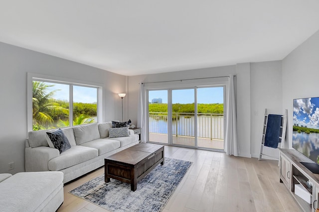 living area with a wealth of natural light and light wood-style flooring