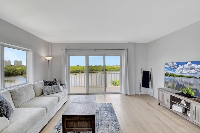 living room featuring a water view and light hardwood / wood-style flooring