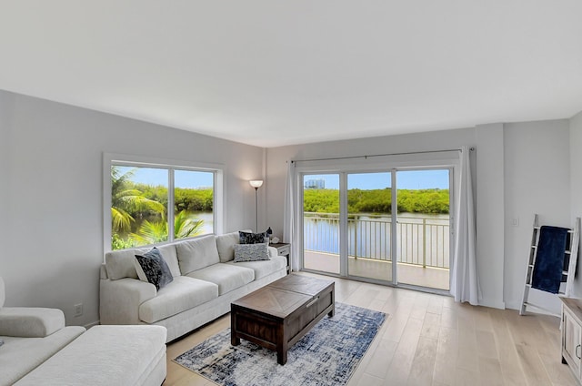 living room featuring a wealth of natural light, a water view, and light wood finished floors