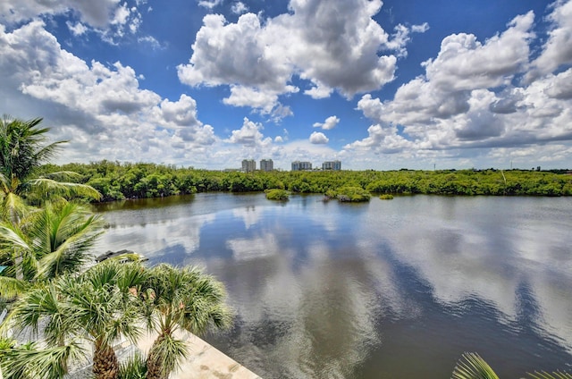 property view of water