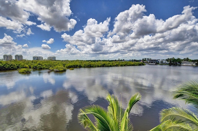 view of water feature with a view of city