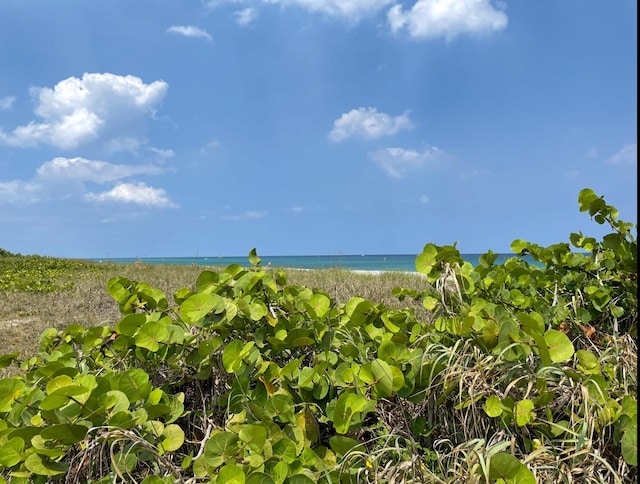 water view