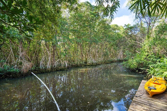 view of dock featuring a water view