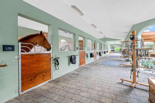 view of horse barn