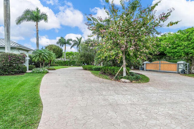 surrounding community featuring a yard, a gate, and driveway