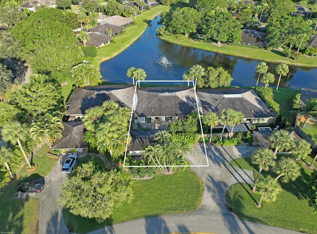 aerial view with a water view