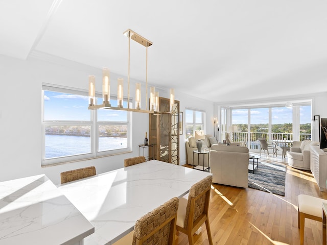 dining space featuring a water view, plenty of natural light, and light hardwood / wood-style flooring